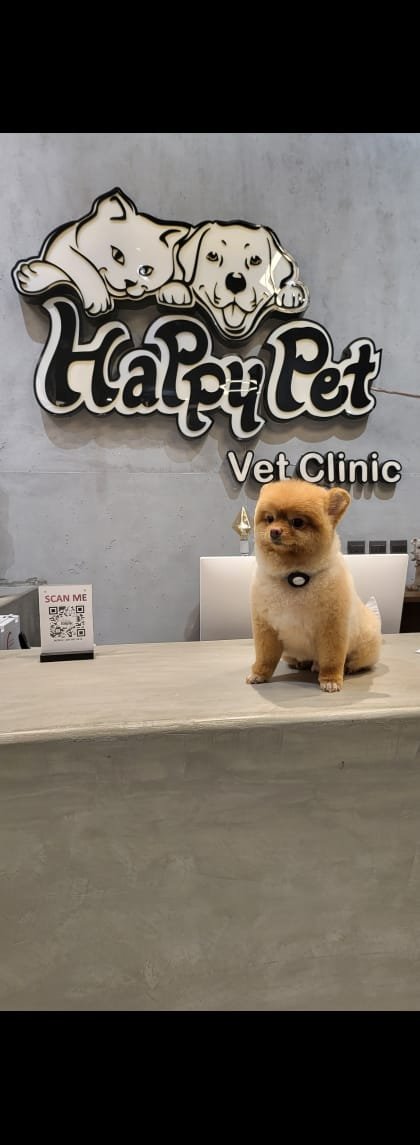 Microchipping and clinic certificate badge